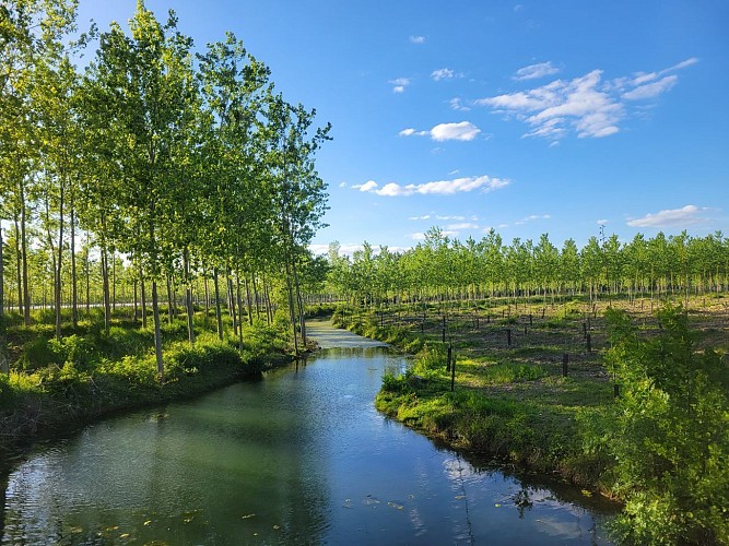 Circuit de l'observatoire aux oiseaux
