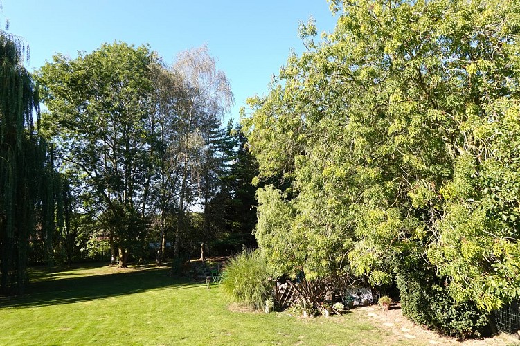 Jardin