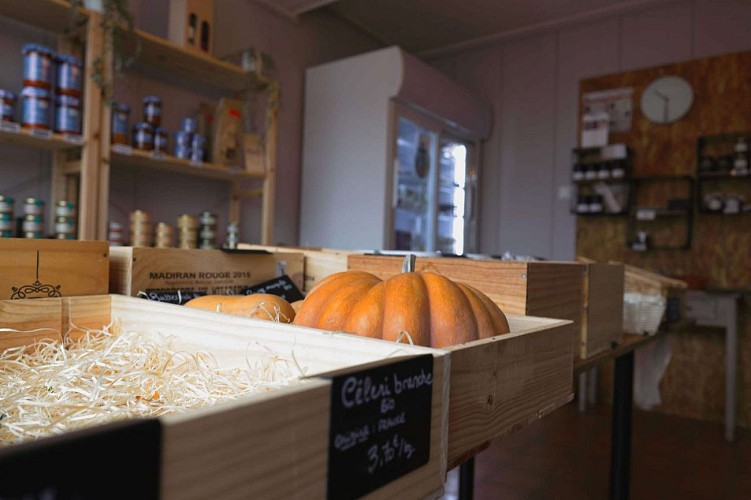 received_815914867389461[1]