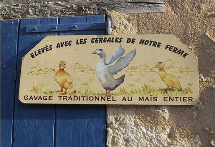 Ferme de la Patte d'oie