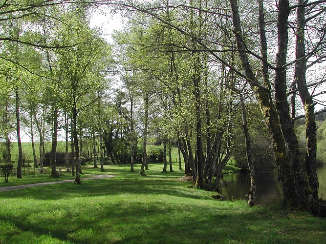 Aire Camping Car-Park à Nedde