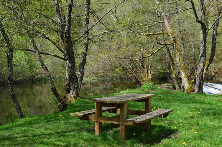 Camping municipal La Sève_4