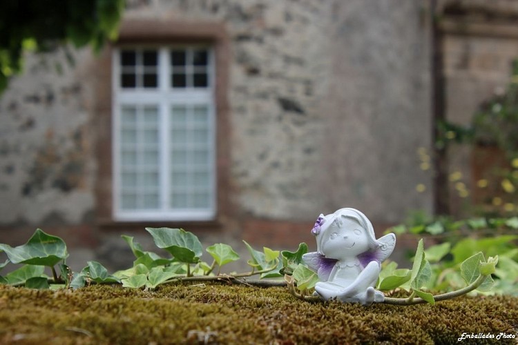 Balade photographique "Spécial scénettes" dans le parc de Beaupréau