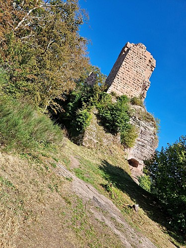 Hôtel-restaurant chalet altitude