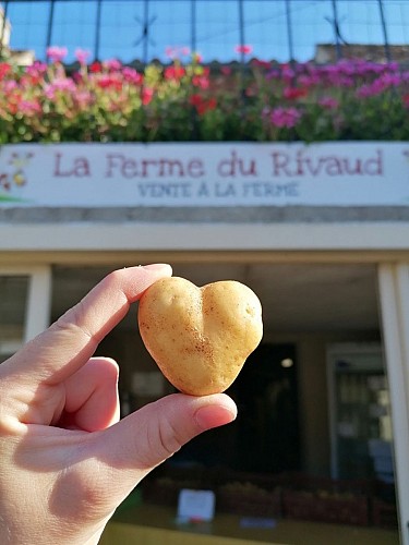 Ferme-du-Rivaud-entrée-le-pizou-vallee-isle-perigord