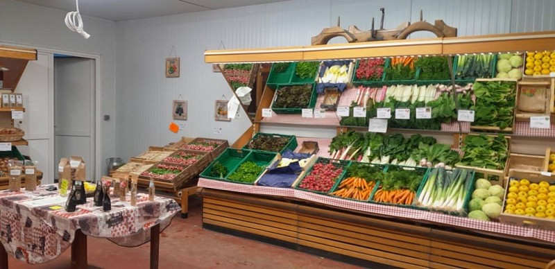 Ferme-de-Brion-Montpon-legumes-vallee-isle-perigord