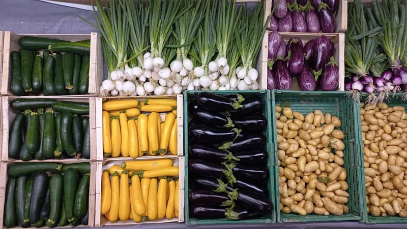 Ferme-de-Brion-Montpon-legumes-c-vallee-isle-perigord