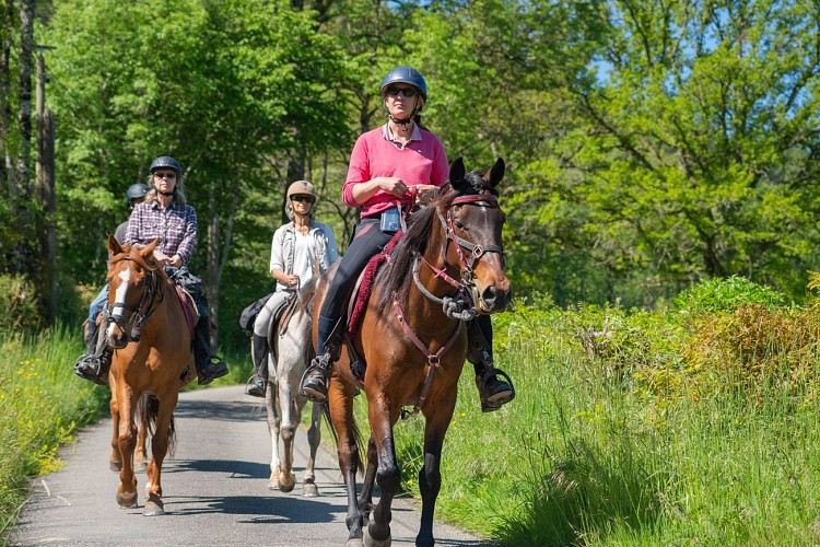 Balade dans le Parc Naturel Régional du Morvan