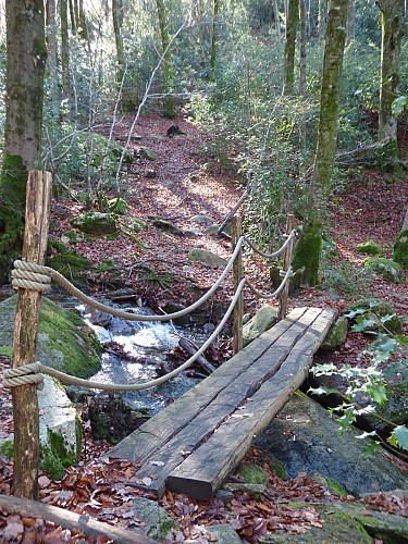Picnic area - l'Enfant Sauvage