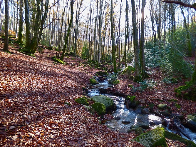 Picnic area - l'Enfant Sauvage