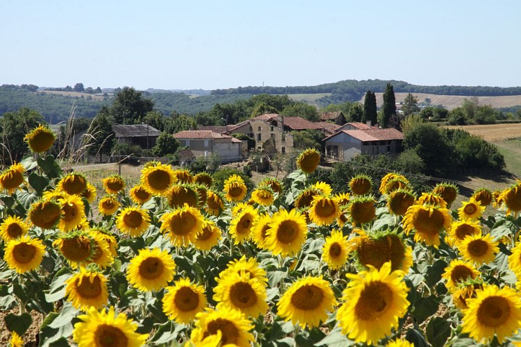 Point de vue Remarquable de le Brouilh-Monbert