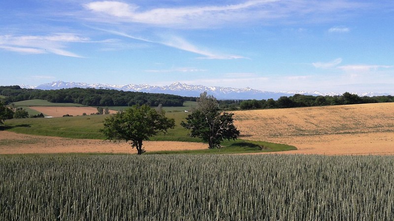 Point de vue Remarquable de Monlaur-Bernet