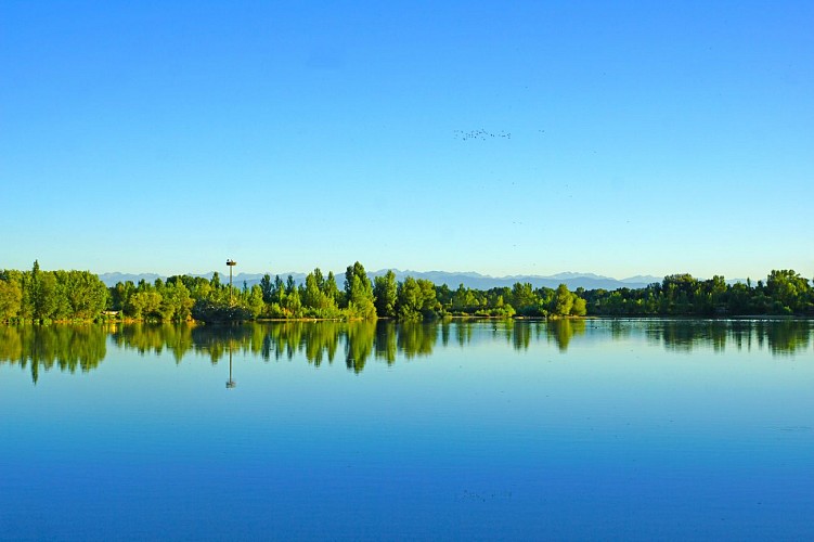 The Domaine des Oiseaux