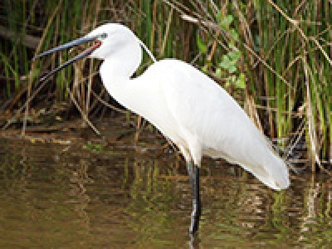 Le Domaine des Oiseaux