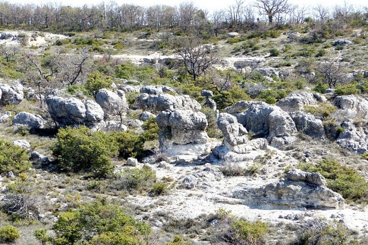 ENS Rochers des Mourres