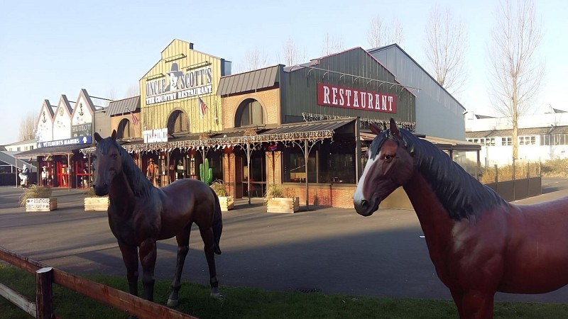 Oncle Scott's Honfleur_chevaux
