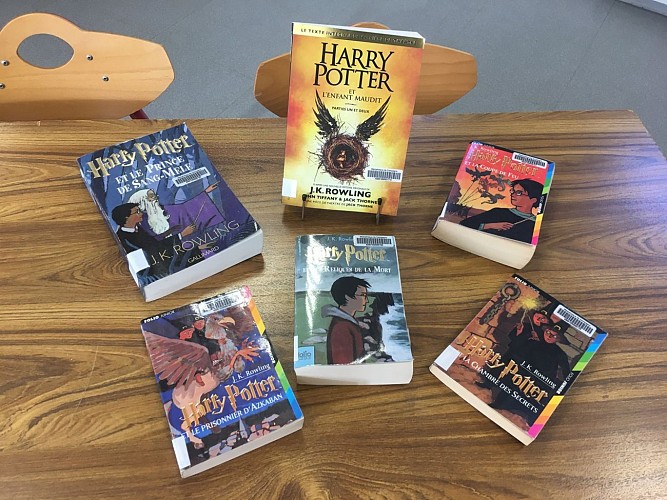 494581635_2467328220277209_2060853800397577762_n.jpg_2