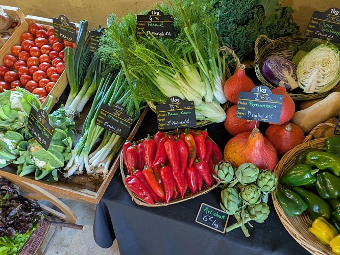 Ferme-des-deux-mains-st-martial-legumes-vallee-isle-perigord