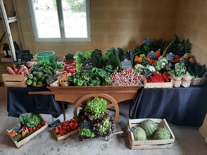 Ferme-des-deux-mains-st-martial-boutique-vallee-isle-perigord
