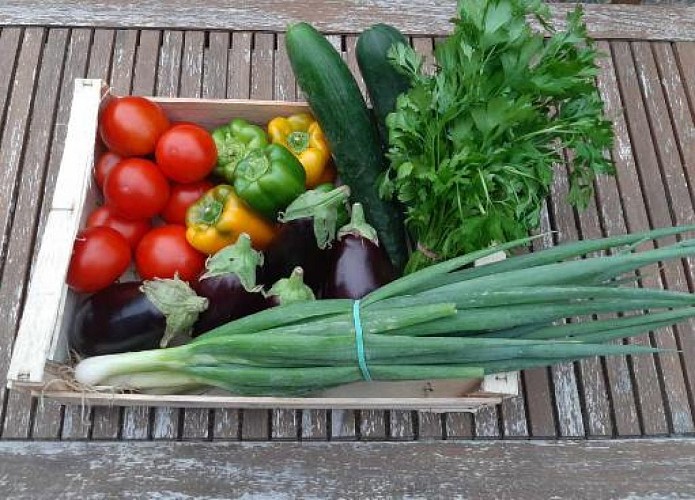 Ferme-des-deux-mains-st-martial-cageot-legumes-vallee-isle-perigord