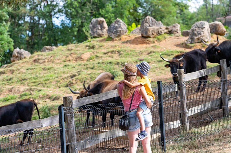 PCU_Parc du Thot_Thonac_Juillet 2023©InstapadesStudio-0953-2000px (8)
