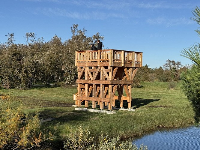 tour d'observation @anne laure albo (1)