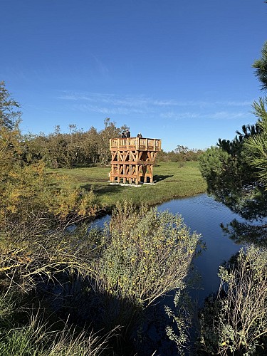 tour d'observation @anne laure albo (5)