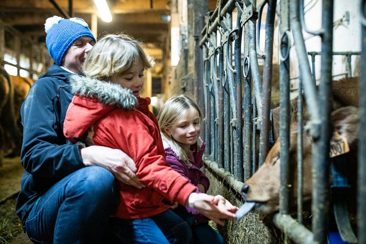 The Correrie farm visits