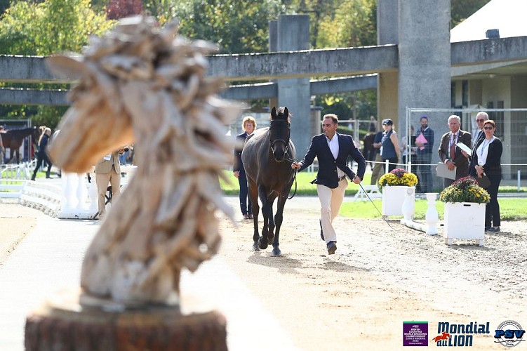 Mondial du Lion - Championnat du monde d'équitation