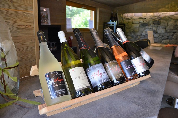 Wine producer - MONTESSUIT Family ( EARL)