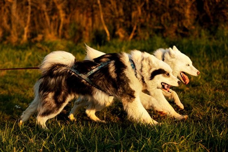 _06032023-_MG_3971-web