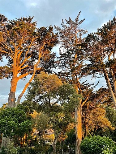 M DRANCY - MAISON INDIVIDUELLE 10 PERSONNES