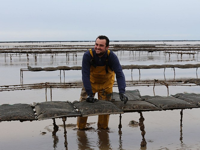 Vente directe d'huîtres, Chez Greg