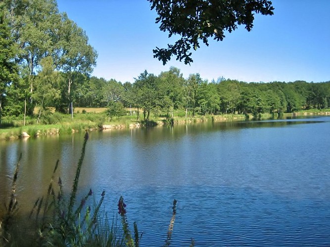 Etang 1
