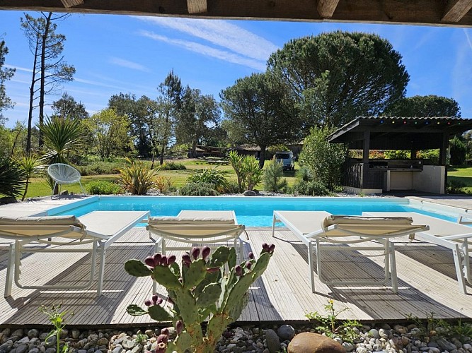 105 Benchoua_Moliets_Landes Atlantique Sud