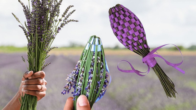 Lavender spindle workshop