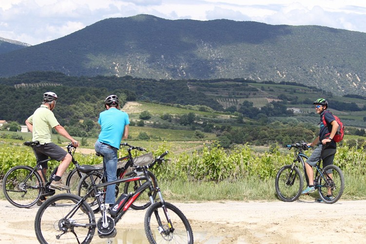 Intersport - Bicycle rentals (Groups & Seminars)