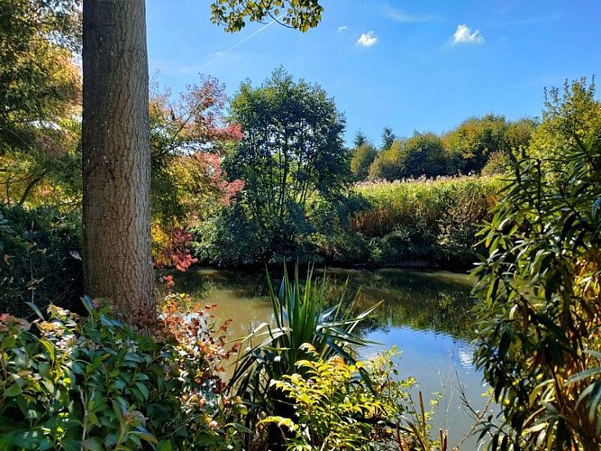 Chalet-Eldo-ras-d-eau-10-Torchamp-800