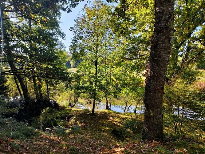 Chalet-Eldo-ras-d-eau-Torchamp