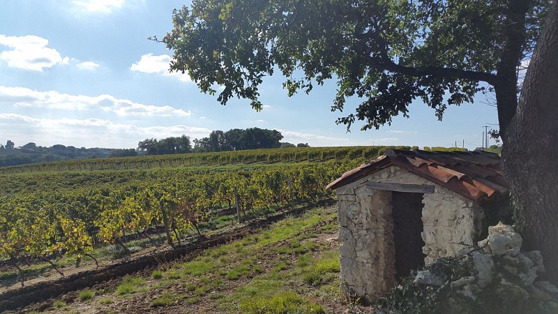 Cabane de Lian