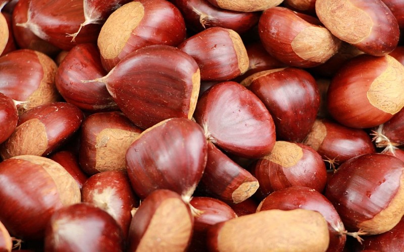 Marché de Cambo-les-Bains - Pays basque 