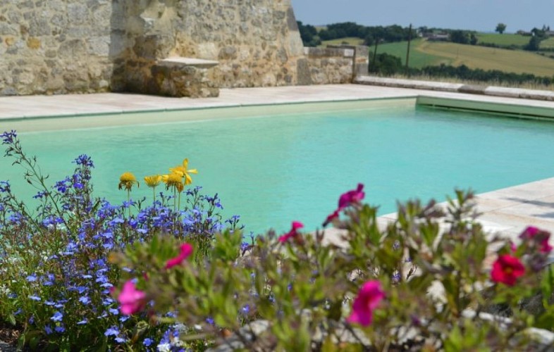 Gite-de-Peyroustoux-5