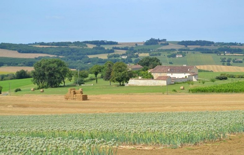 Gite-de-Peyroustoux-7