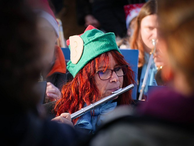 Концерт "Les petits lutins musiciens