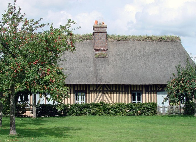 Chaumière aux orties et plantes sauvages@Eure Tourisme