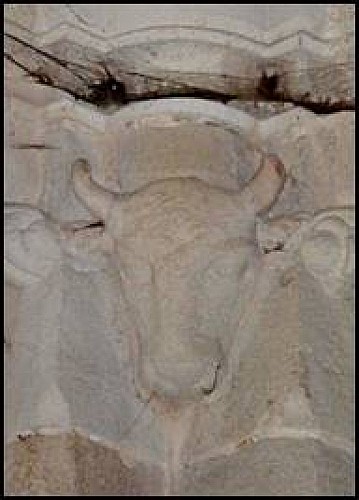 Culot sculpté du taureau de saint Luc