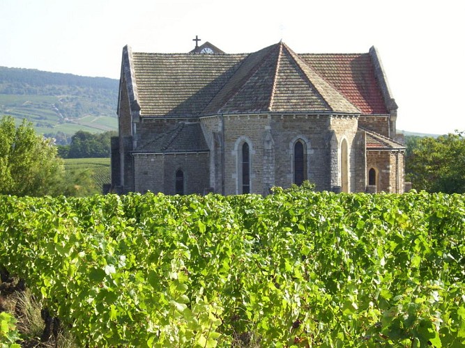 Eglise de Cheilly-lès-Maranges au milieu des vignes OT Chalon