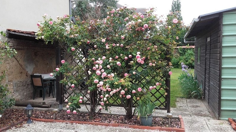 Gite de George_Louviers_3 personnes_ jardin