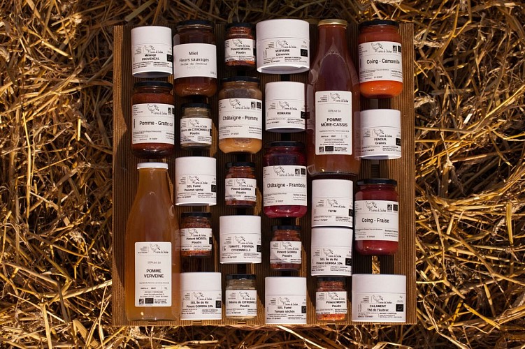 ferme-du-séchoir-boutique-beleymas-tourisme-vallée-isle 1