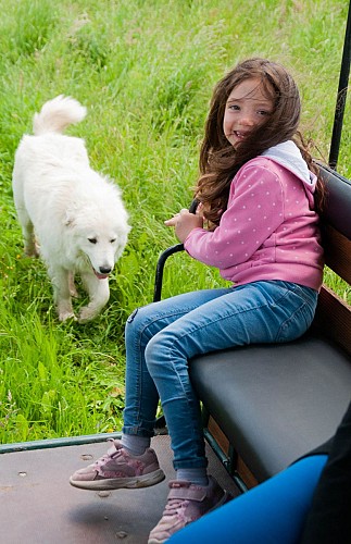 Ferme des Roussets à Juigné 2023 Sélection WEB-22